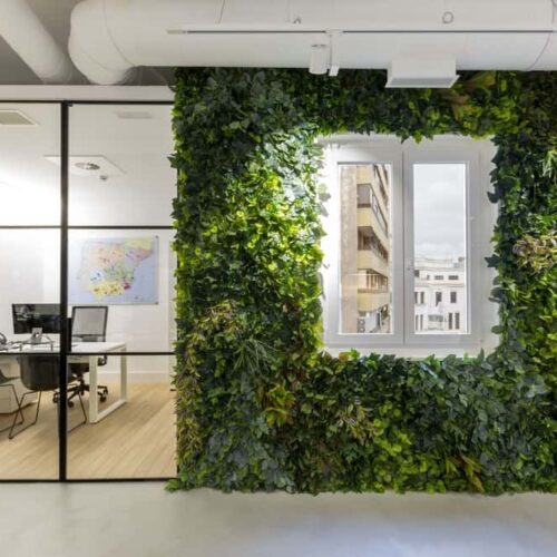 Imagen de un activo residencial de alquiler